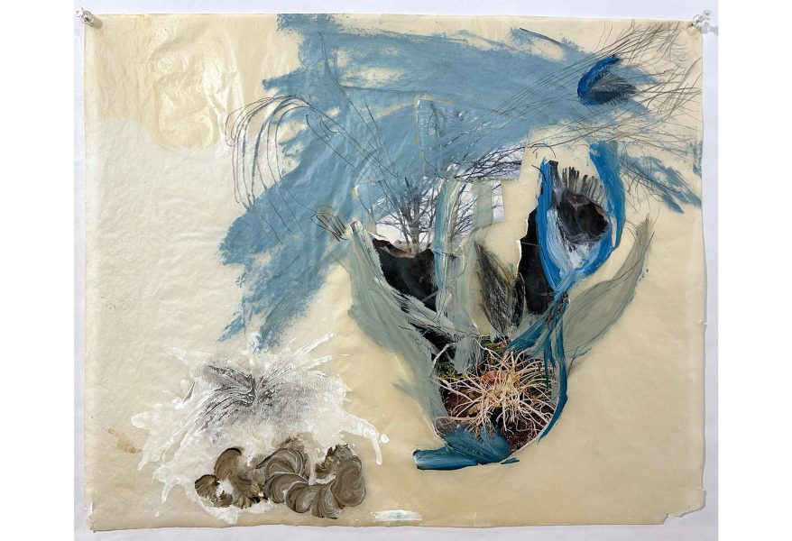 Laura Bell Mutable Garden/Root, 2012 Acrylic, pencil, and photos (roots) on vellum tracing paper 14 x 16 inches JBGLB#24101808